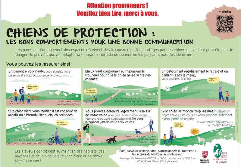 2025_04_17_16_03_09_202311_PanneauChienProtection_VBAT_002_Paint 2025_04_17_16_03_09_202311_PanneauChienProtection_VBAT_002_Paint