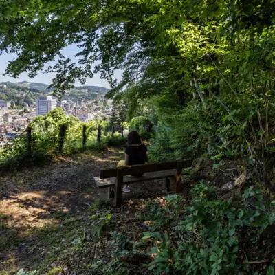 Chemin forestier avec une vue imprenable sur Tulle, dans le Bois des Malades